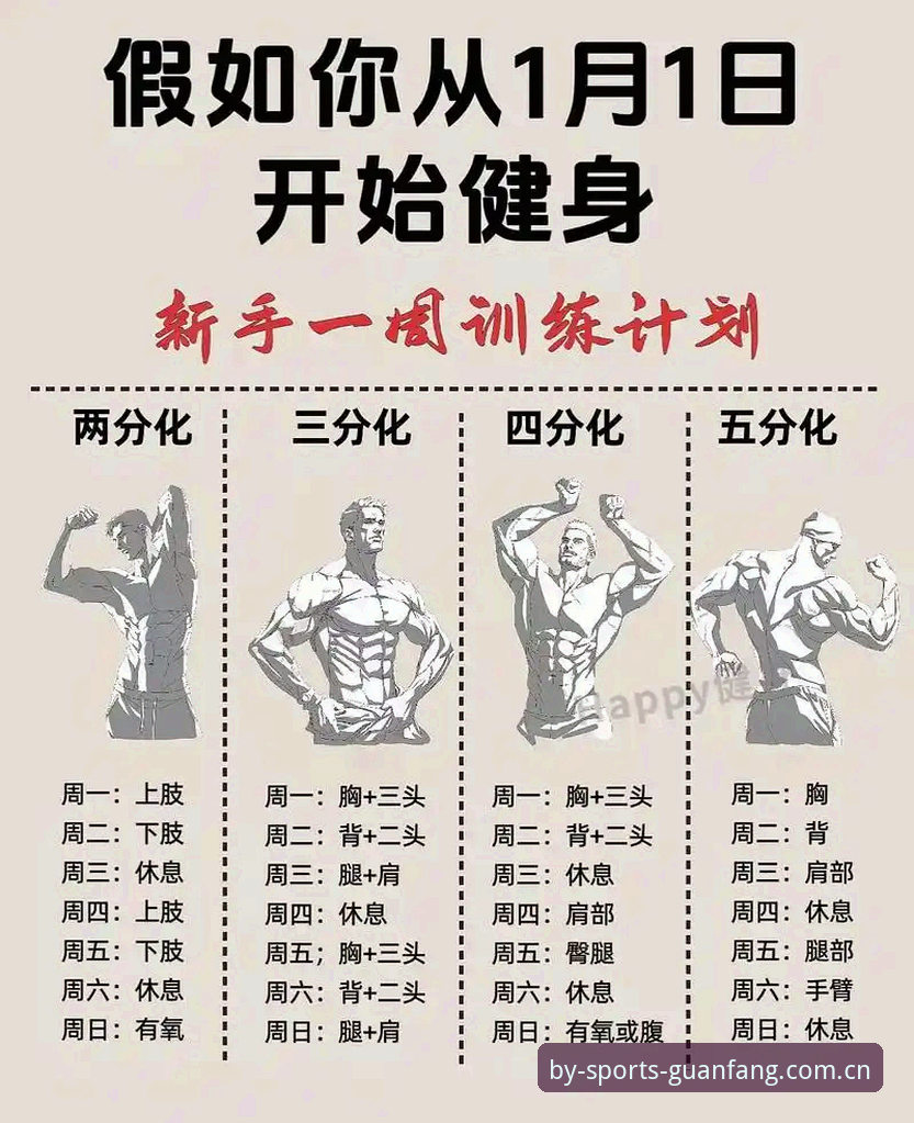 从入门到精通：掌握by体育2025最新版实用技巧的必备指南