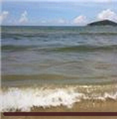 赵鹏